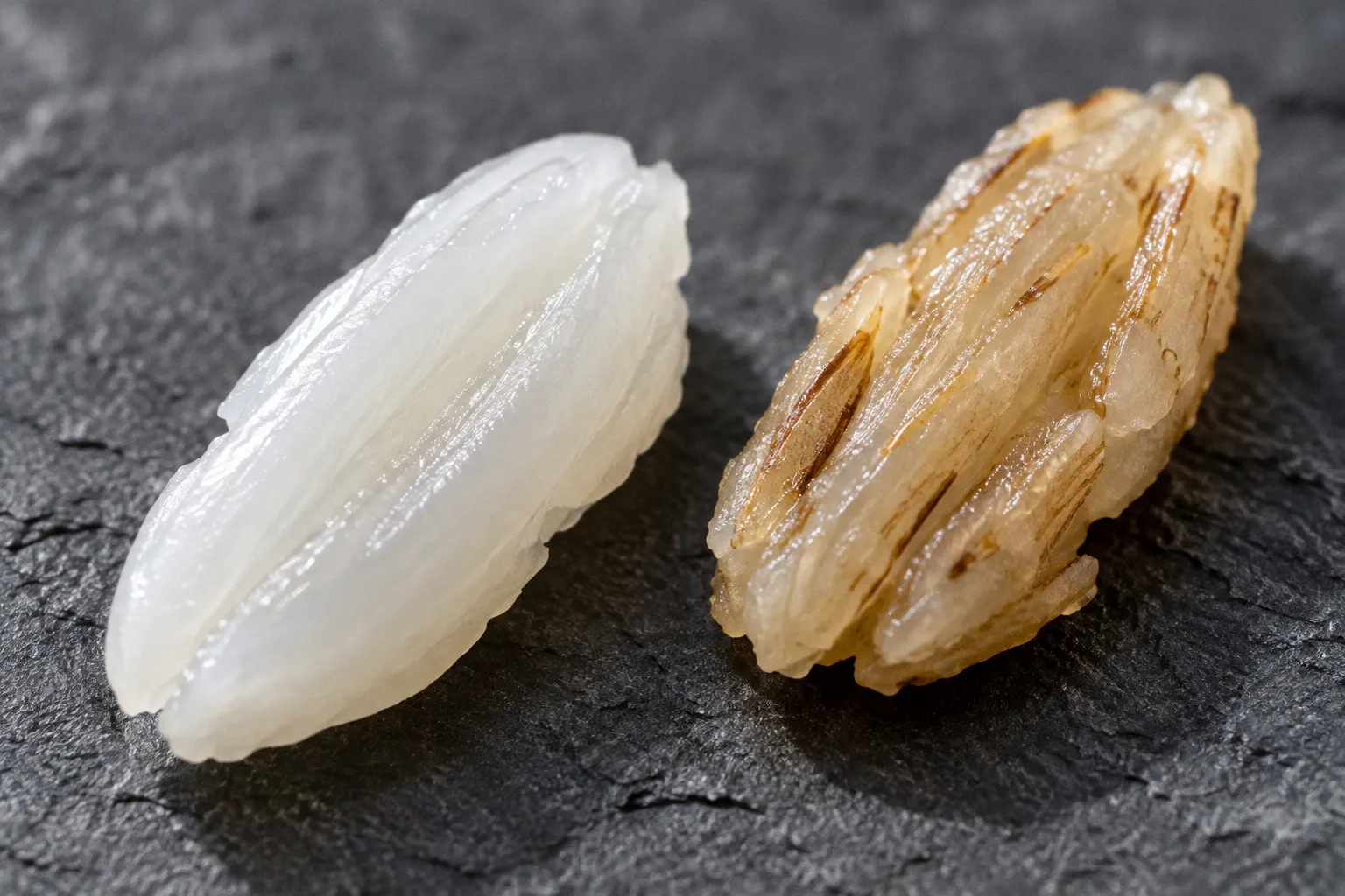 Arroz blanco o integral: fases de elección y digestión para entrenar