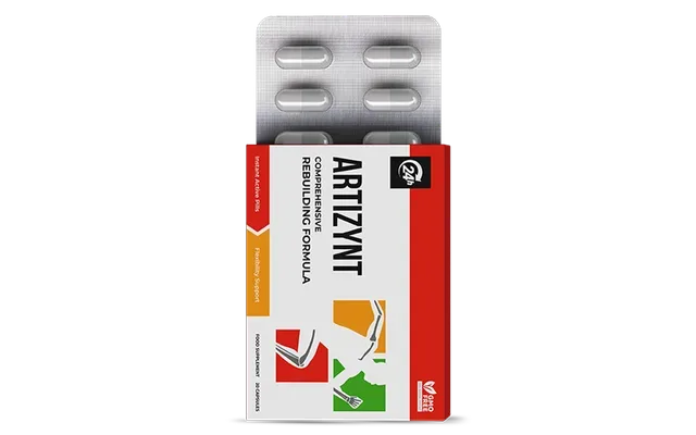 ArtiZynt